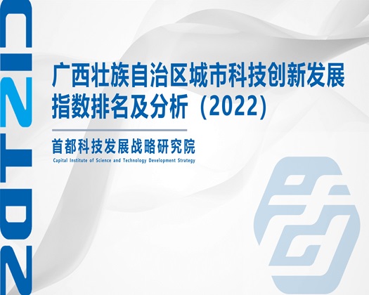 www.逼要操【成果发布】广西壮族自治区城市科技创新发展指数排名及分析（2022）